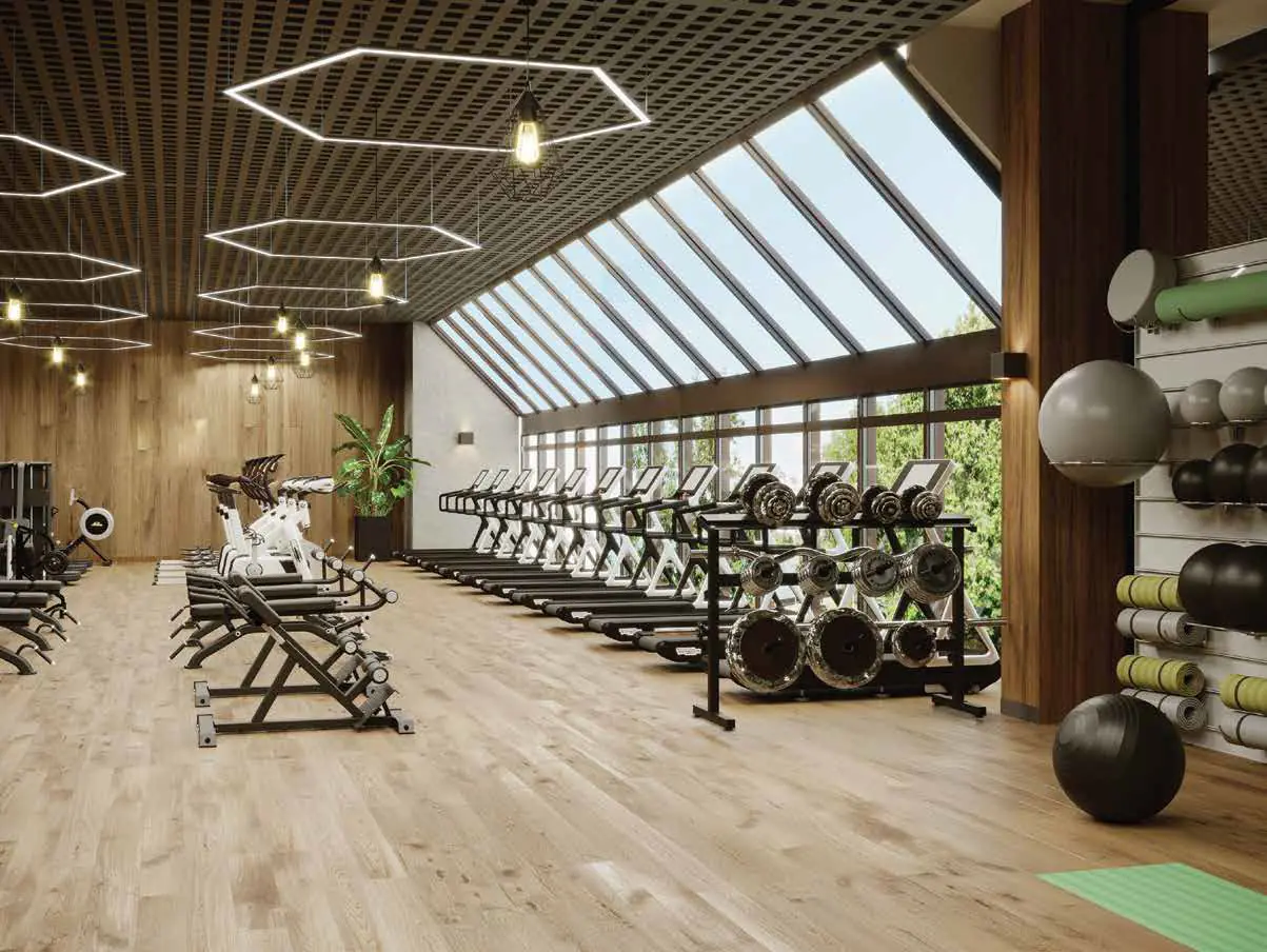 Multi-level gymnasium with skylight